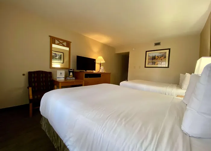 Hotel Western Center